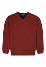 Load image into Gallery viewer, BARTON V-Neck Knitwear