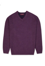 Load image into Gallery viewer, BARTON V-Neck Knitwear