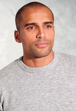 Load image into Gallery viewer, Clark Silver Grey Lambswool Crew Neck Jumper (4650C)
