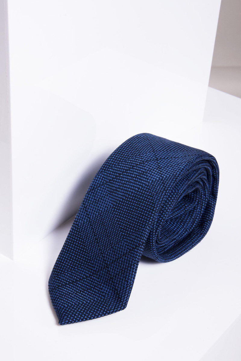 JERRY Blue Check Tie